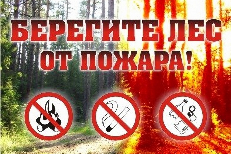 Памятки «О правилах поведения в период весеннего паводка» и «О правилах пожарной безопасности в лесах».