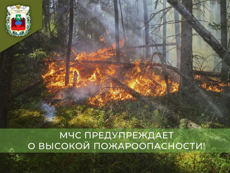 Оперативное предупреждение от 12.05.2025 года.